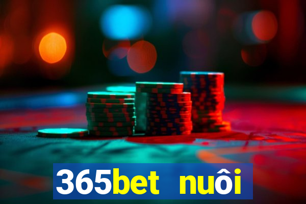 365bet nuôi dưỡng Châu Á