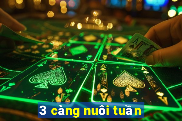 3 càng nuôi tuần