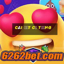 cài đặt cờ tướng