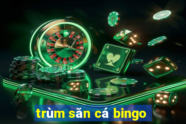 trùm săn cá bingo