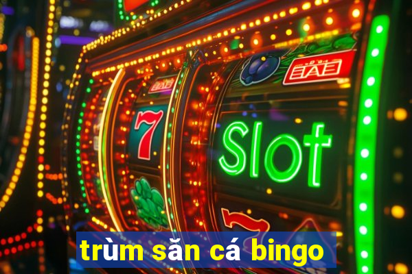 trùm săn cá bingo