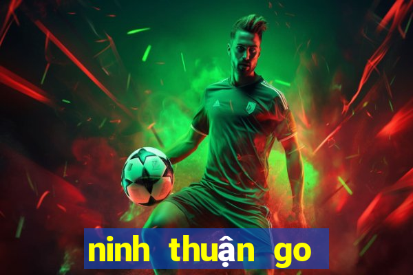 ninh thuận go tài xế