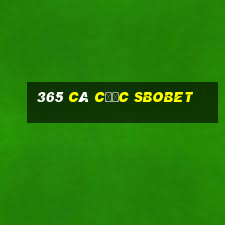 365 cá cược sbobet