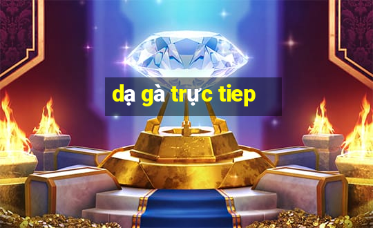 dạ gà trực tiep