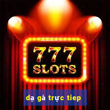 dạ gà trực tiep