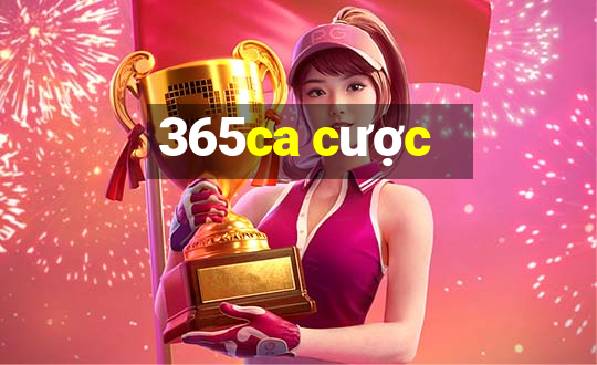 365ca cược