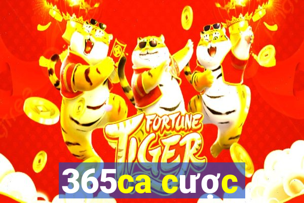 365ca cược