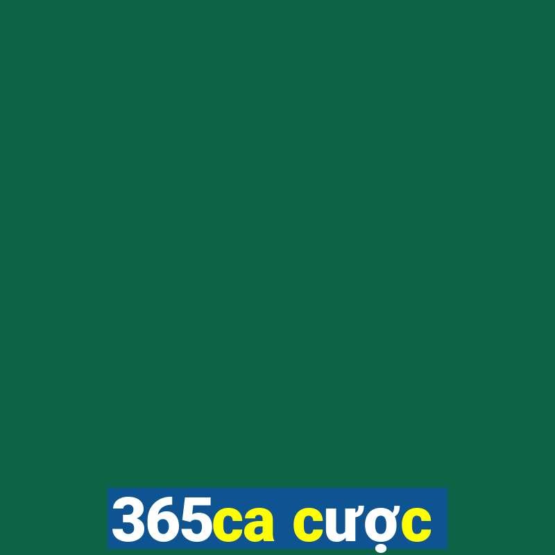 365ca cược