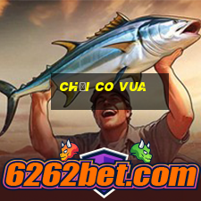 chơi co vua