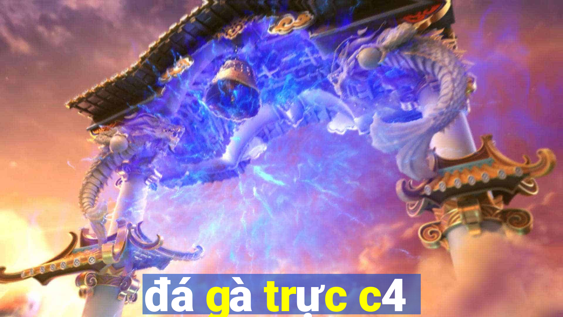 đá gà trực c4