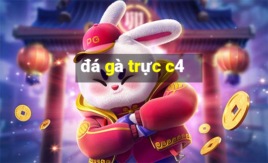 đá gà trực c4