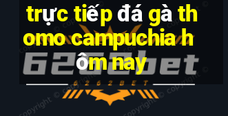 trực tiếp đá gà thomo campuchia hôm nay