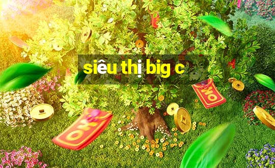 siêu thị big c