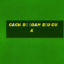 cách dự đoán bầu cua