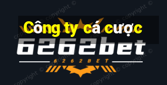 Công ty cá cược