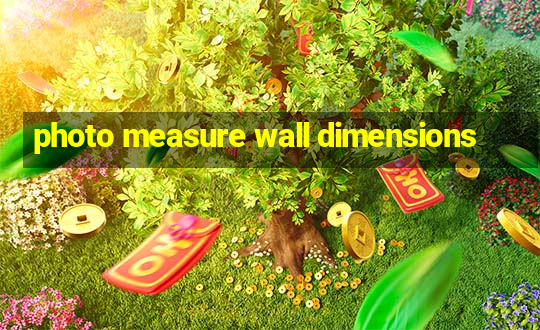 photo measure wall dimensions