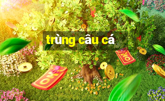 trùng câu cá