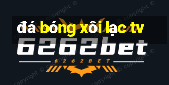 đá bóng xôi lạc tv