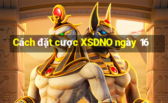 Cách đặt cược XSDNO ngày 16