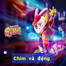 Chim và động vật ios