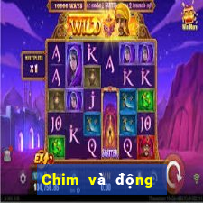 Chim và động vật ios