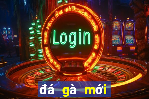 đá gà mới nhất năm 2019