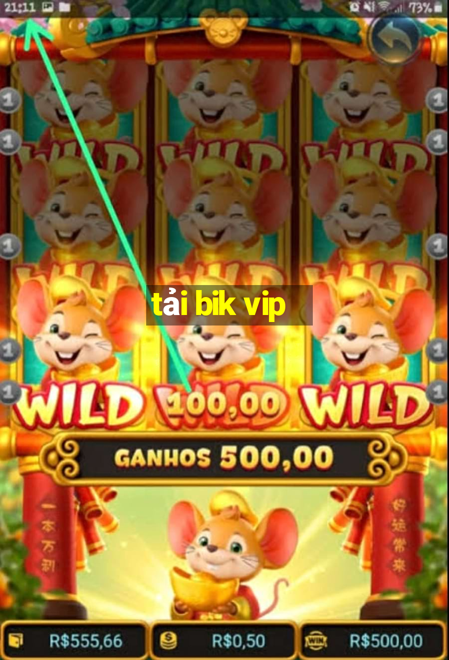 tải bik vip