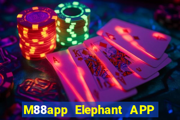 M88app Elephant APP Phiên bản mới Tải về