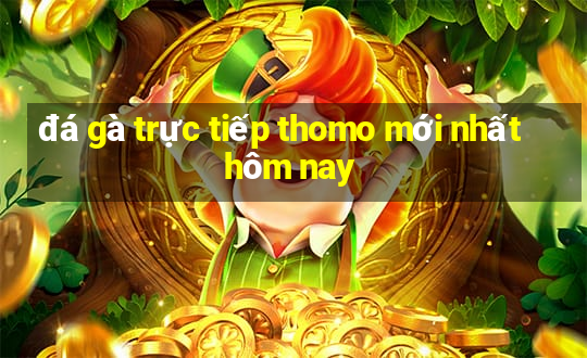 đá gà trực tiếp thomo mới nhất hôm nay