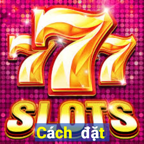 Cách đặt cược XSST ngày 24