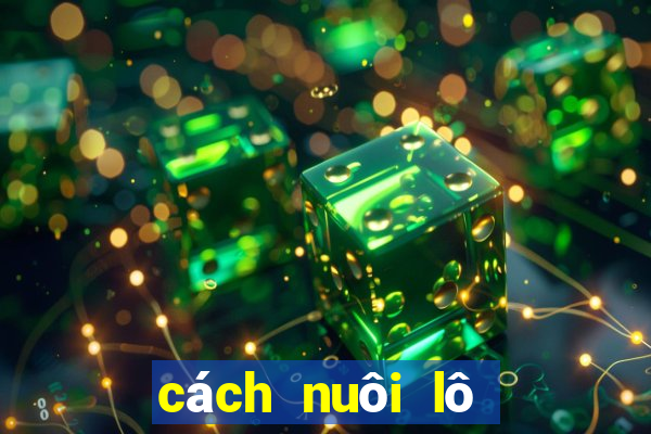 cách nuôi lô hiệu quả