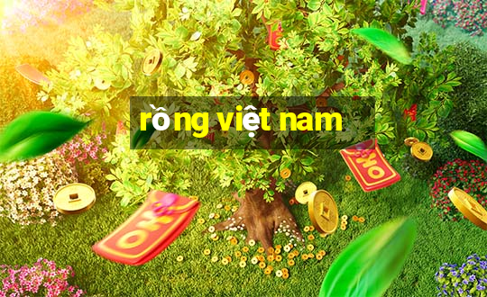 rồng việt nam