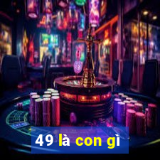 49 là con gì