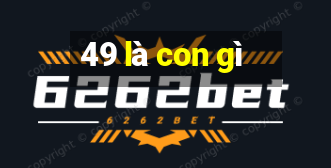 49 là con gì