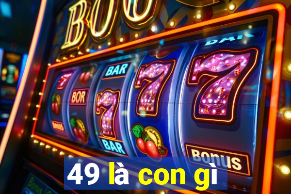 49 là con gì