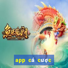 app cá cược thể thao