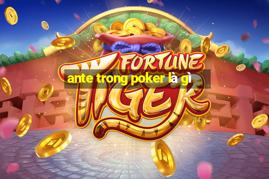 ante trong poker là gì