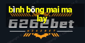 bình bông mai malay