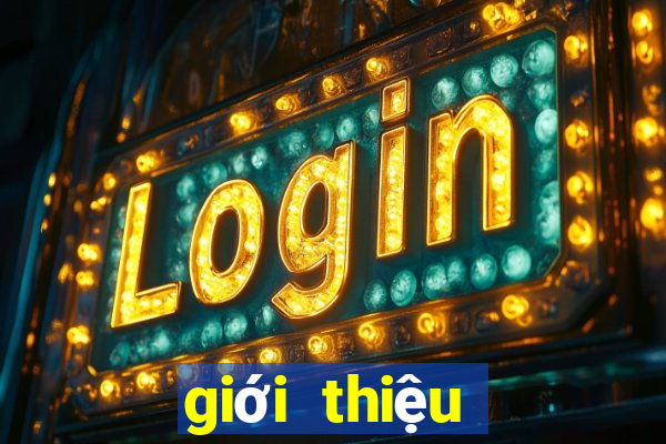 giới thiệu luật chơi poker