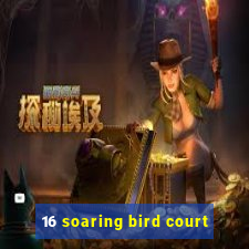 16 soaring bird court