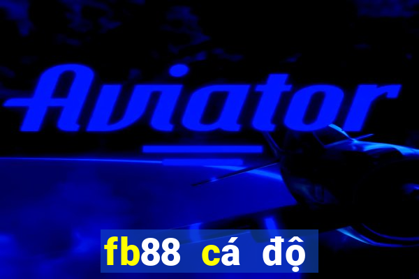 fb88 cá độ bóng đá