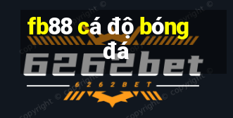 fb88 cá độ bóng đá