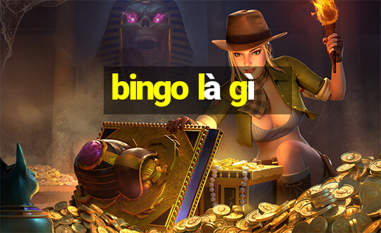 bingo là gì