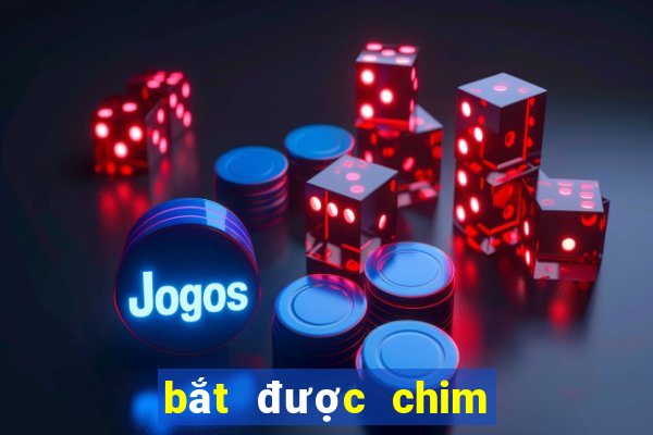 bắt được chim đánh con gì