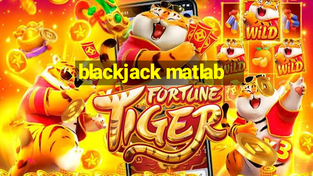 blackjack matlab