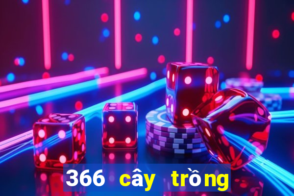 366 cây trồng dưới xổ số