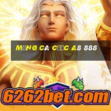 Mạng cá cược a8 888