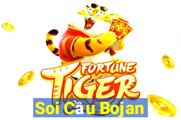 Soi Cầu Bojan