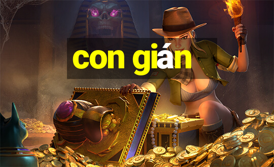 con gián