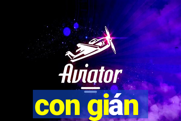 con gián